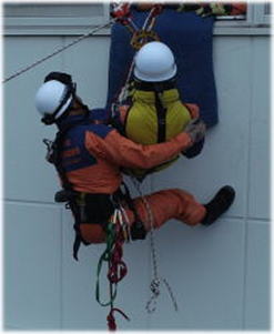 救助隊の活動写真